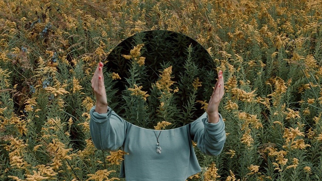 Hemp, The fondation of all our products - Apprenti