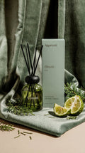 Hinoki 44 Reed Diffuser - Apprenti